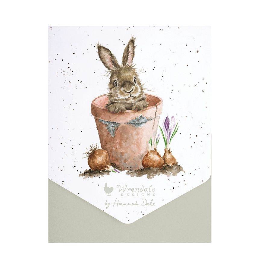 Flower Pot Rabbit Note Cards - House of Cards