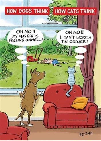 Cats Vs Dogs Birthday Card