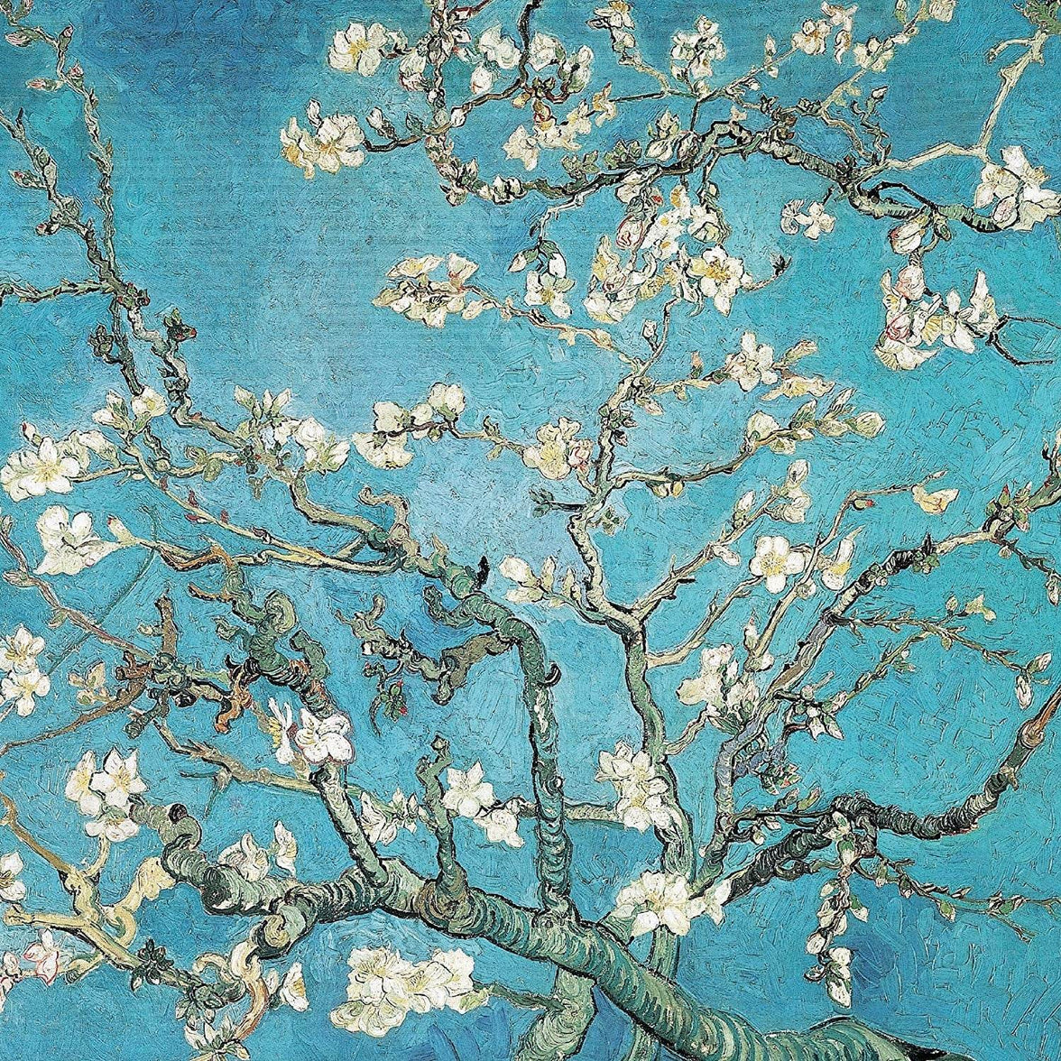 Vincent Van Gogh Blossoms Greetings Card - House of Cards