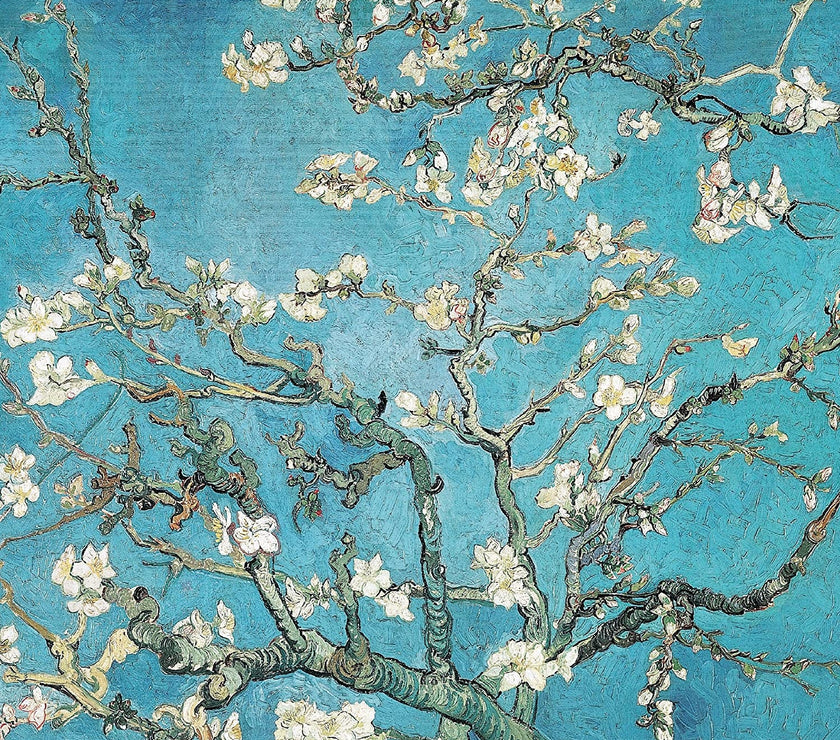 Vincent Van Gogh Blossoms Greetings Card