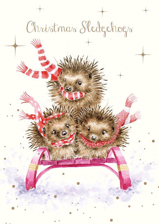 Hedgehogs Christmas Cards - House of Cards