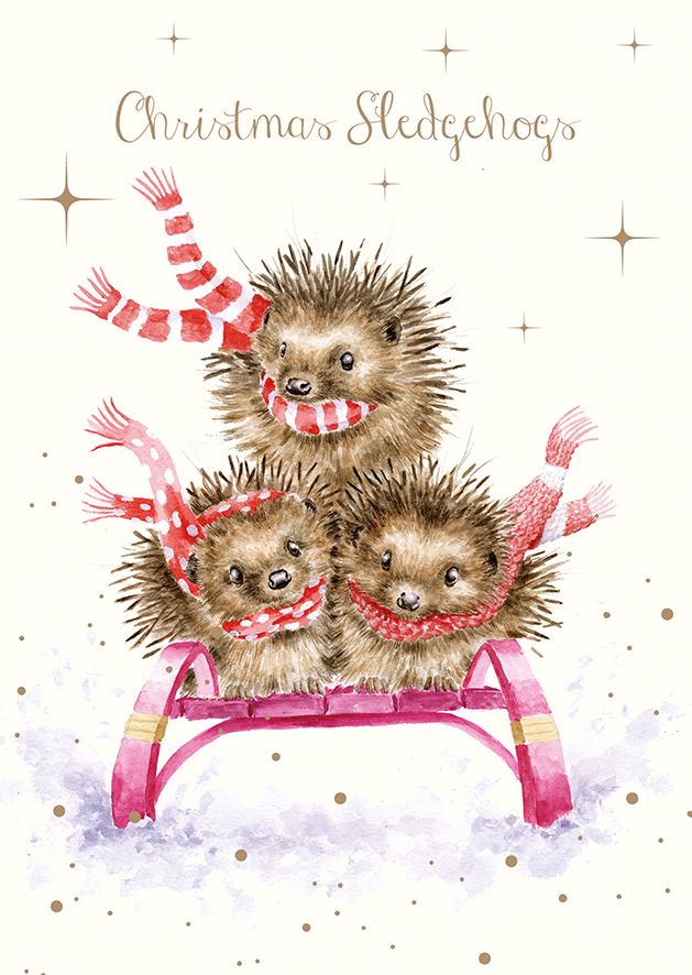 Hedgehogs Christmas Cards