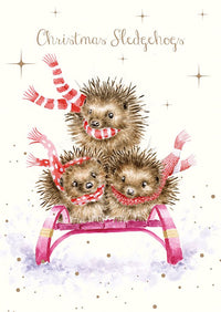 Hedgehogs Christmas Cards