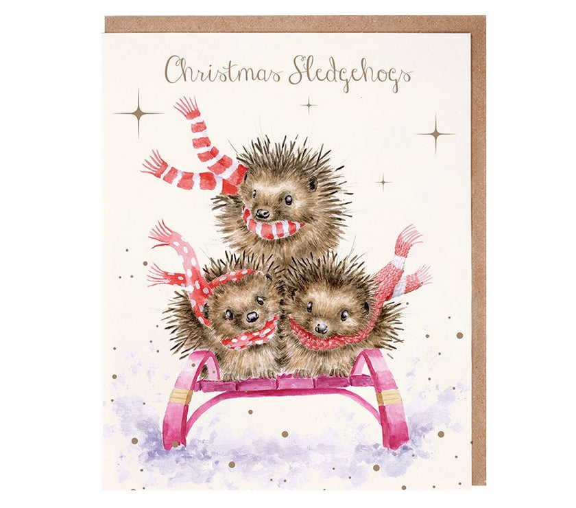Hedgehogs Christmas Cards