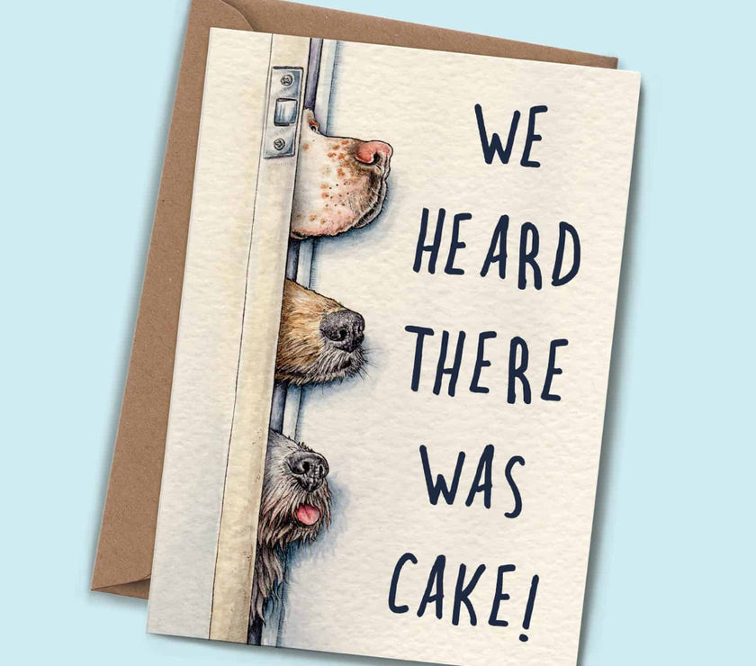 Dog Noses Birthday Card