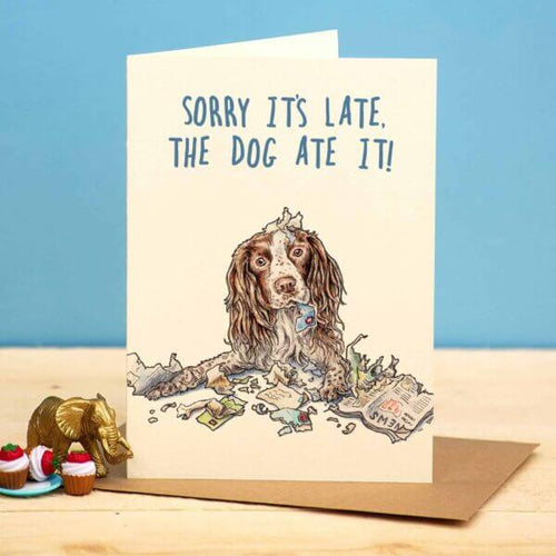 Belated Birthday Card