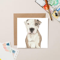 Ty Card