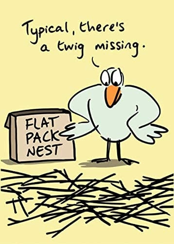 Flat Pack Nest Bird Greetings Card