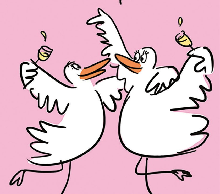 Gulls Have Fun Greetings Card