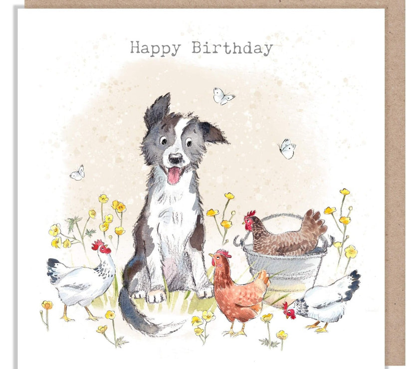 Collie Dog and Chickens Birthday Card