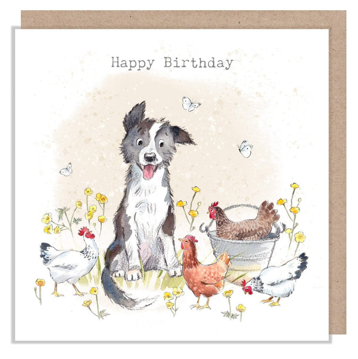 Collie Dog and Chickens Birthday Card