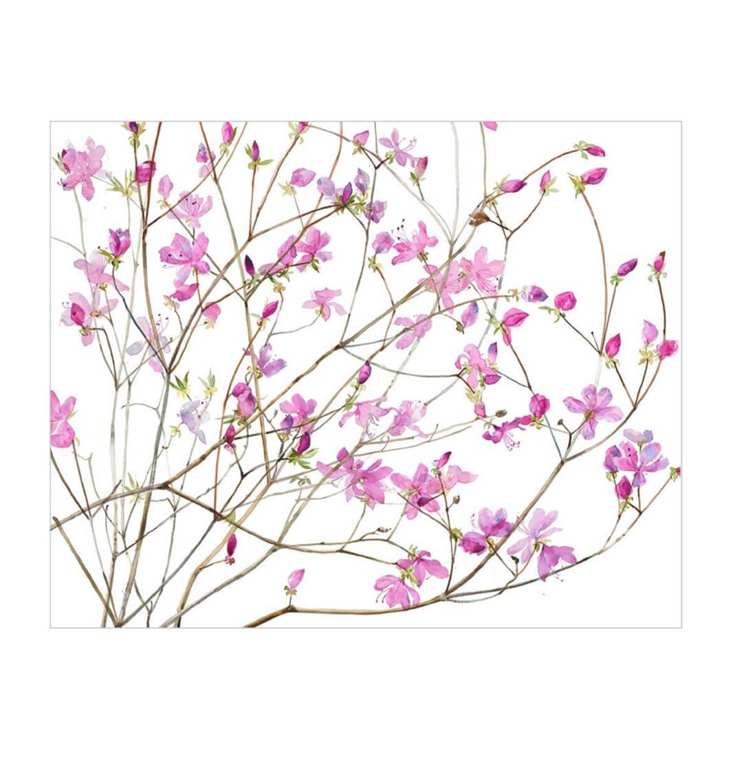 Azaleas Birthday Card - House of Cards