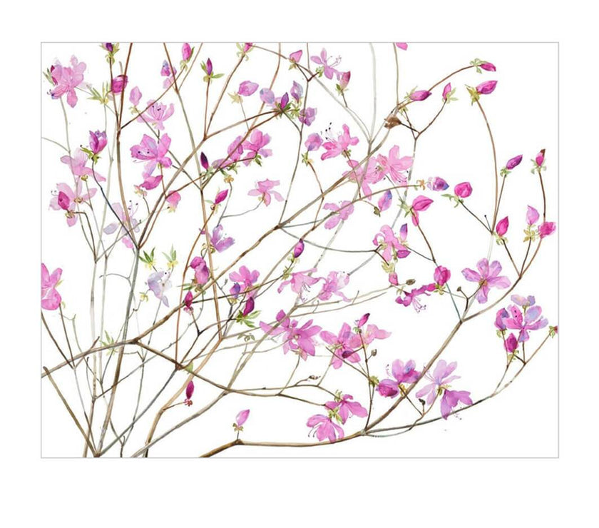 Azaleas Birthday Card - House of Cards