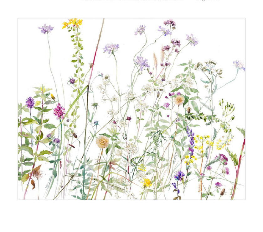 Smiles of Nature Birthday Card
