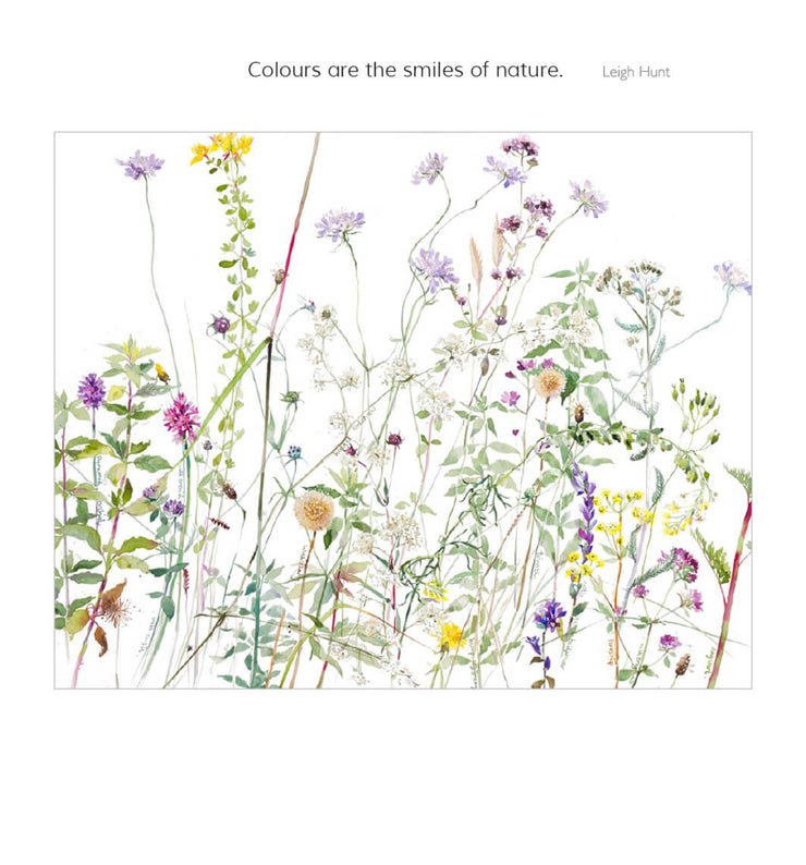 Smiles of Nature Birthday Card