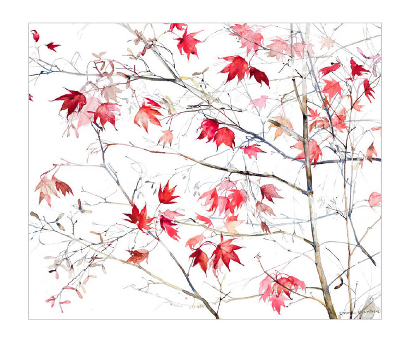 Red Leaves Birthday Card