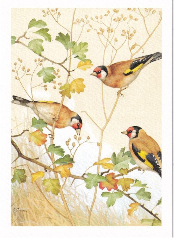 Three Gold Finches Birthday Card