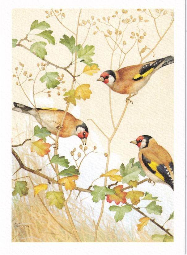 Three Gold Finches Birthday Card - House of Cards