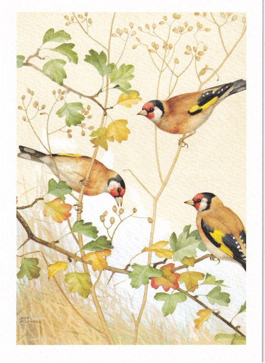 Three Gold Finches Birthday Card