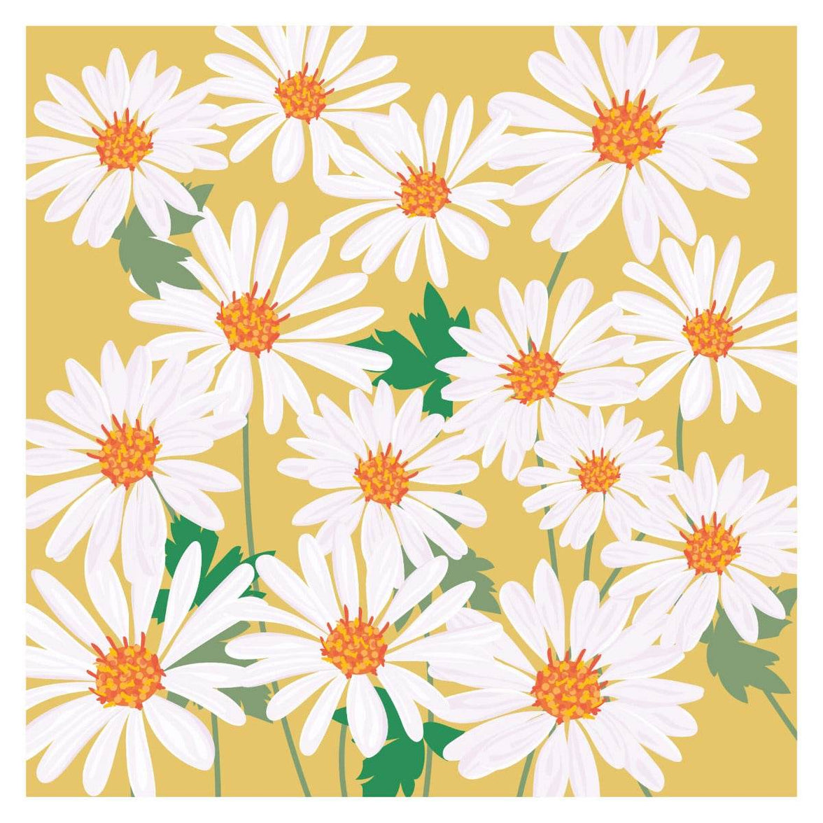 Blank Daisies Greeting Card - House of Cards
