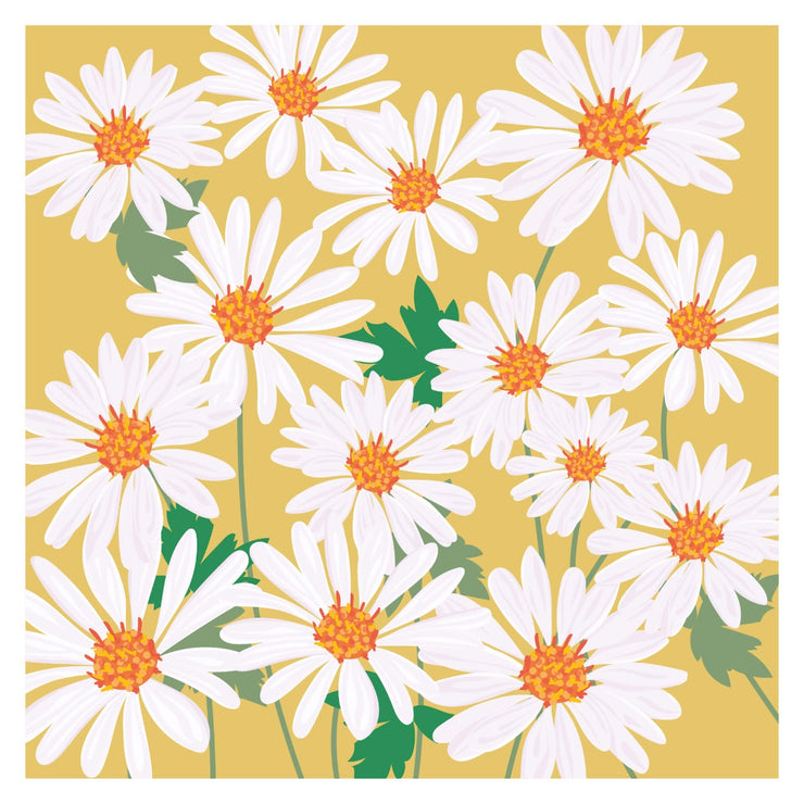 Blank Daisies Greeting Card
