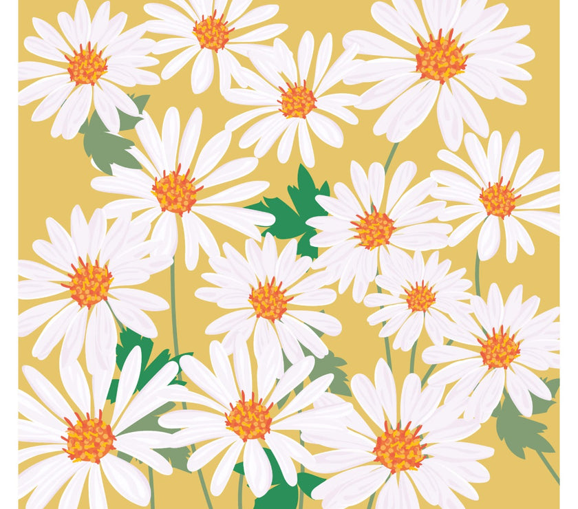 Blank Daisies Greeting Card