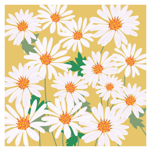 Blank Daisies Greeting Card