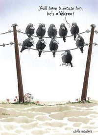 Birdwit Velcrow Birthday Card