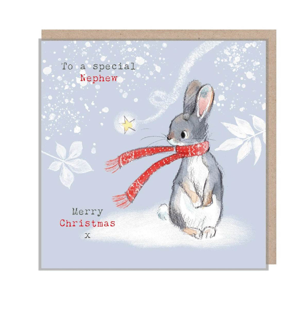 Rabbit Special Nephew Christmas Card - House of Cards