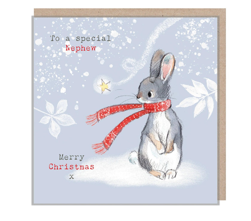 Rabbit Special Nephew Christmas Card
