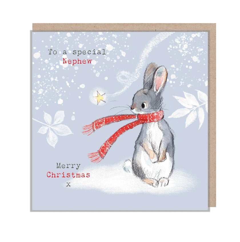 Rabbit Special Nephew Christmas Card