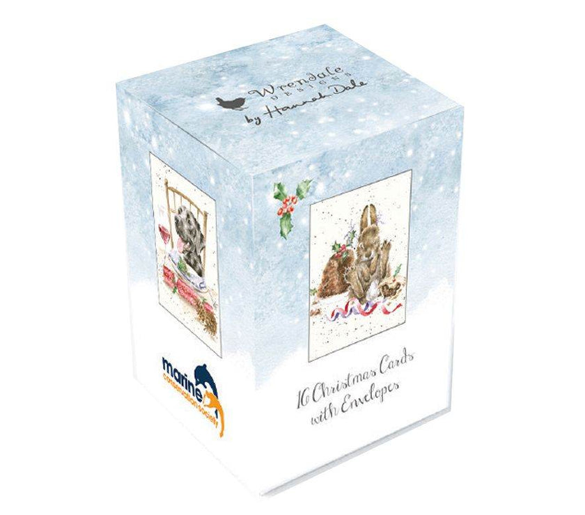 Donkey Mini Charity Christmas Cards - House of Cards