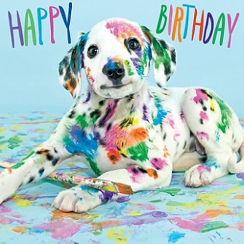 Dalmatian and Paint Birthday Card