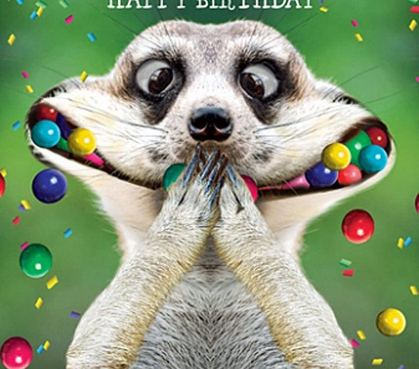 Meerkat Mouthful Greeting Card