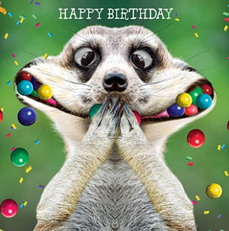 Meerkat Mouthful Greeting Card