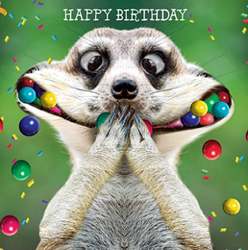 Meerkat Mouthful Greeting Card