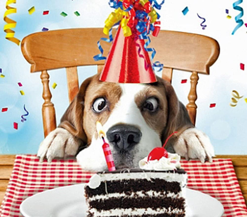 Sniff The Cake Dog Birthday Card