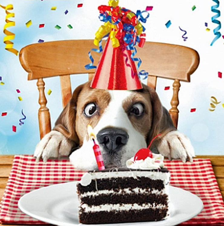 Sniff The Cake Dog Birthday Card
