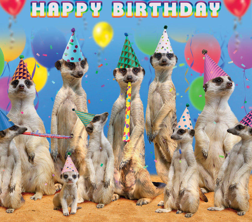 Meerkat Bash Birthday Card