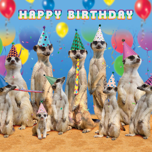 Meerkat Bash Birthday Card