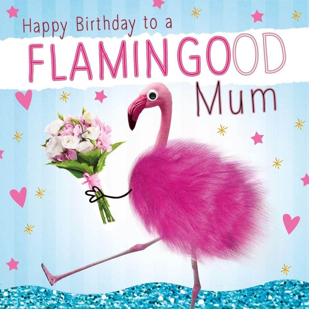 Fluff Flamingo Mum Happy Birthday Card - House of Cards