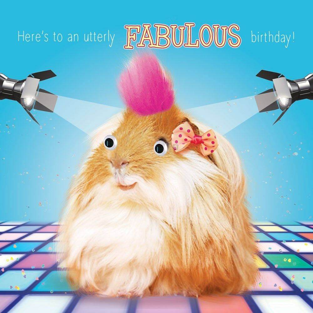 Fluff Guinea Pig Fabulous Birthday Card - House of Cards