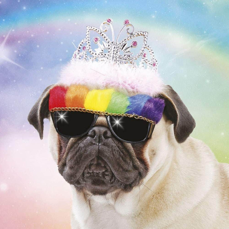 3D Lenticular Pug in Sunglasses Birthday Card - House of Cards