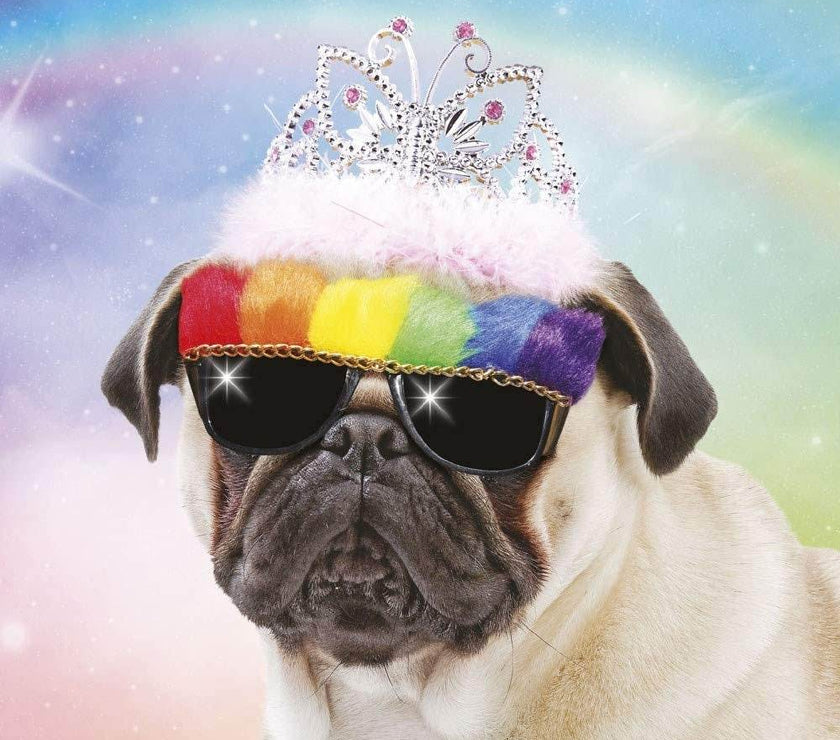 3D Lenticular Pug in Sunglasses Birthday Card - House of Cards