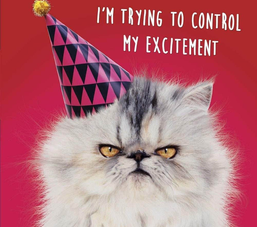 3D Lenticular Cat in Party Hat Birthday Card - House of Cards
