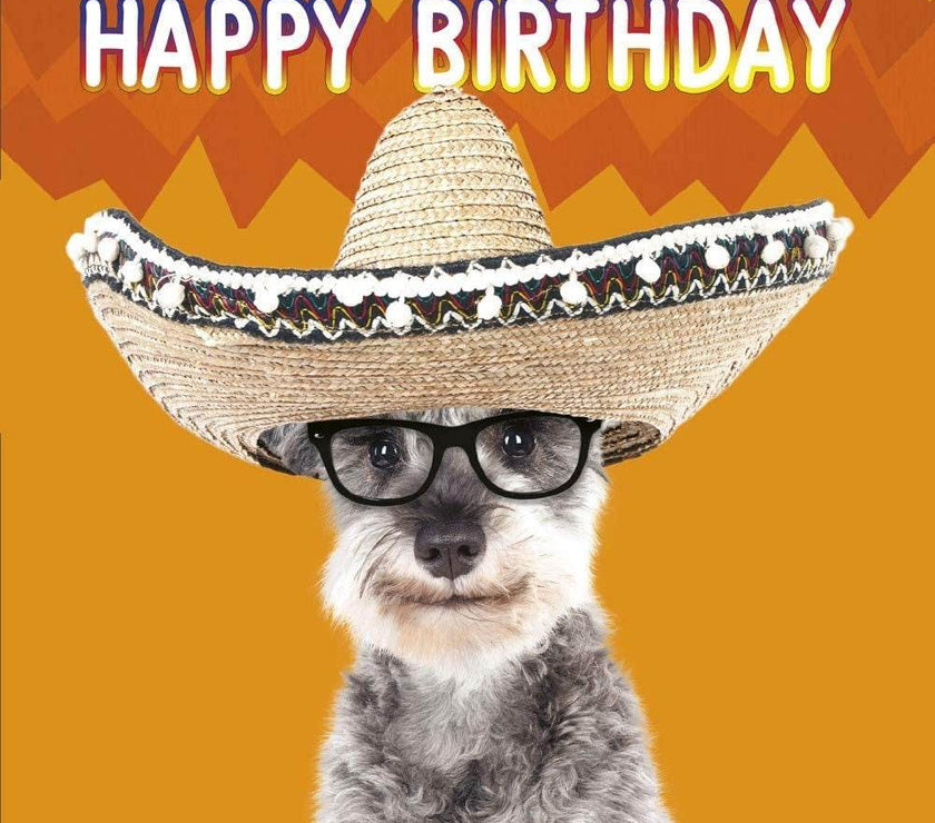 3D Lenticular Sombrero Schnauzer Birthday Card - House of Cards
