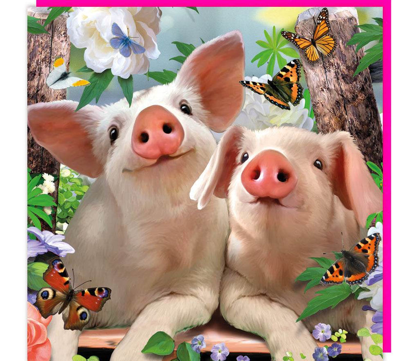 3D Lenticular Pigs and Butterflies Birthday Card - House of Cards
