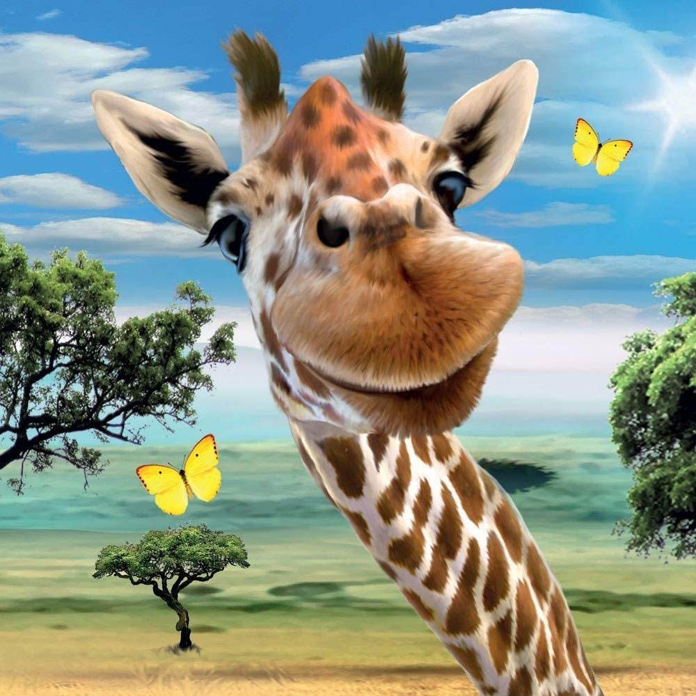 3D Lenticular Giraffe Birthday Card - House of Cards