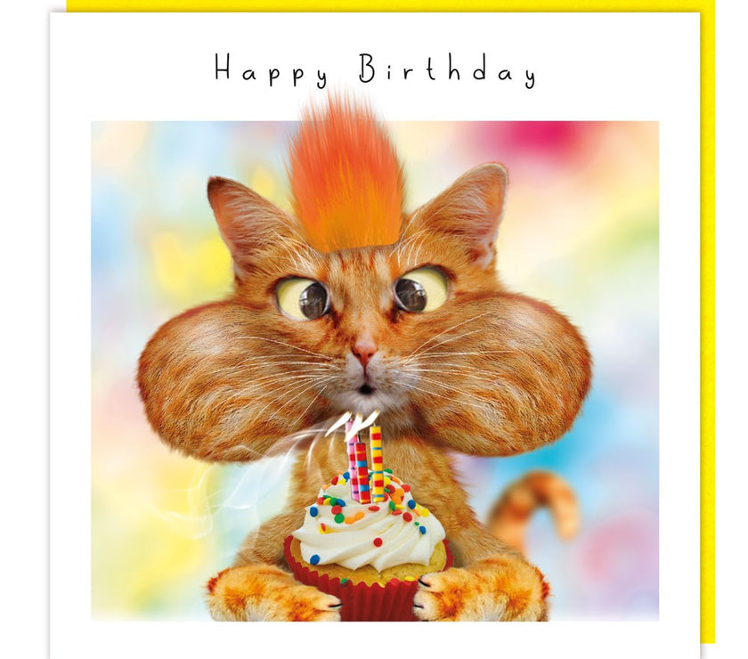 Fluff Cupcake Cat Happy Birthday Card