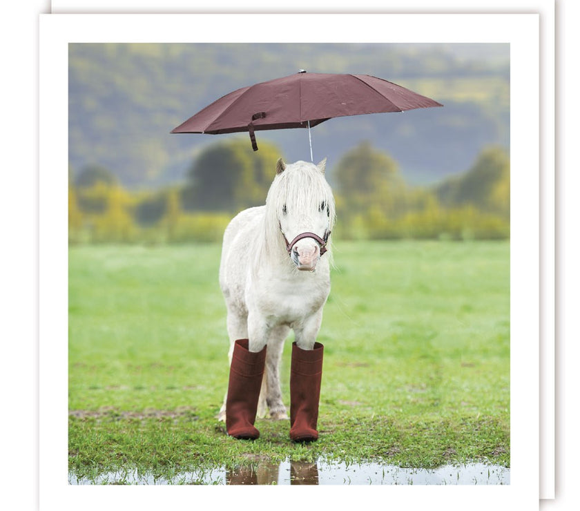 Wildlife Collection Pony in Boots Greeting Card